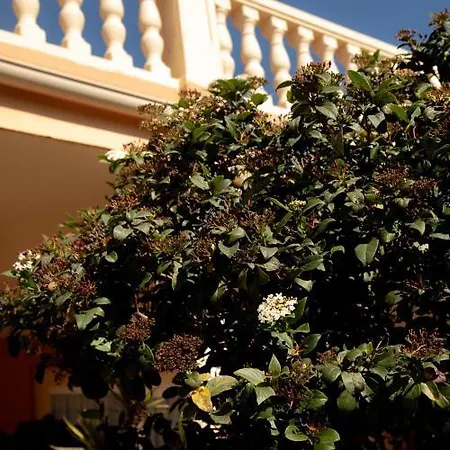 Events La Plantacion Finestrat