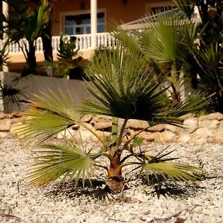 Hotel Events La Plantacion 3*
